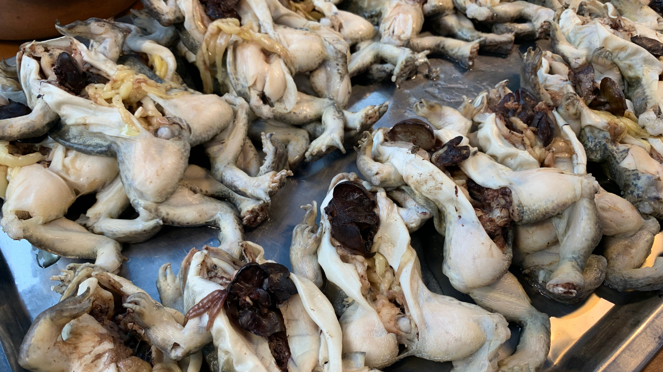 EATEN TO EXTINCTION! Millions of frogs are being tortured, maimed and killed - for the dinner table!