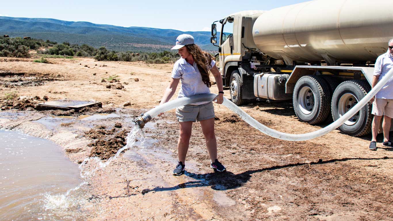 With your help, we will give the animals thousands of liters of life-giving water every day!