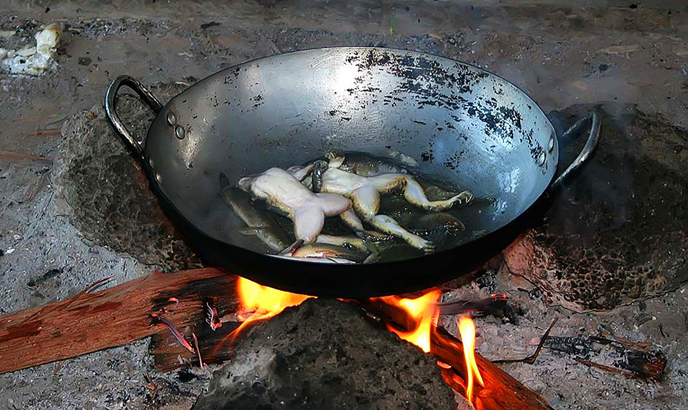 Anatolian water frogs