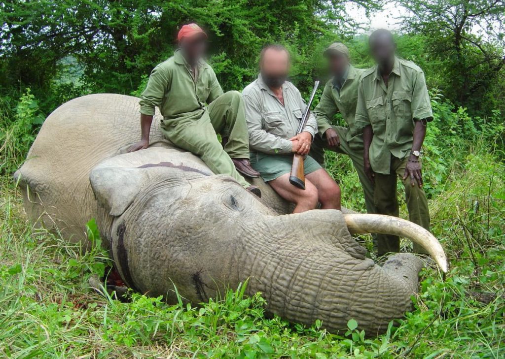 Serial Killers and Trophy Hunters: When the Power To Cause Pain Is the Only Power That Matters