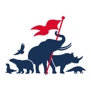 African Penguin classified as ‘critically endangered’ - Animal Survival