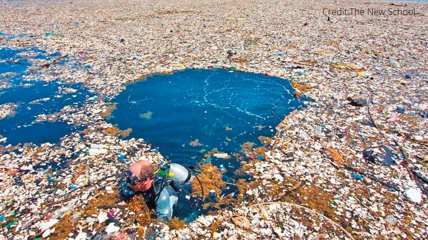 LIFE or DEATH struggle for 47 endangered sea turtle BABIES who ate plastic they thought was food!