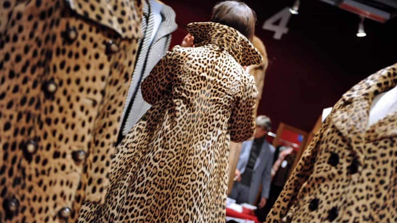 OUTRAGEOUS! Leopards slaughtered by the thousands for their skins! In ...