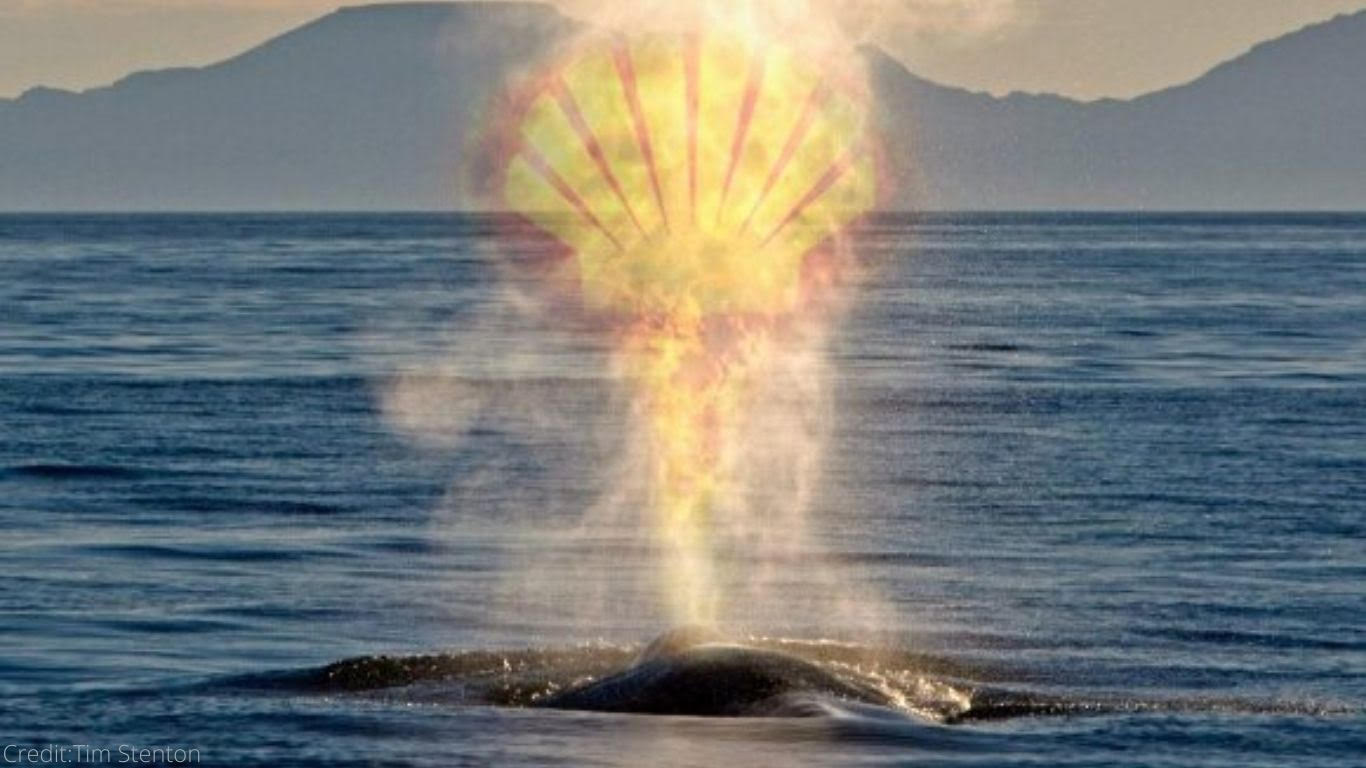 Shell Oil Set to Cause Massive Marine Disaster in South Africa