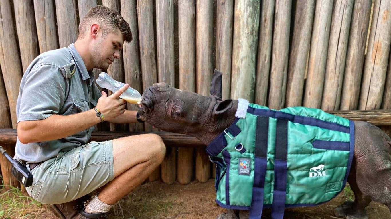 It’s a staggering task to rescue and save four baby rhinos. Please, help us!