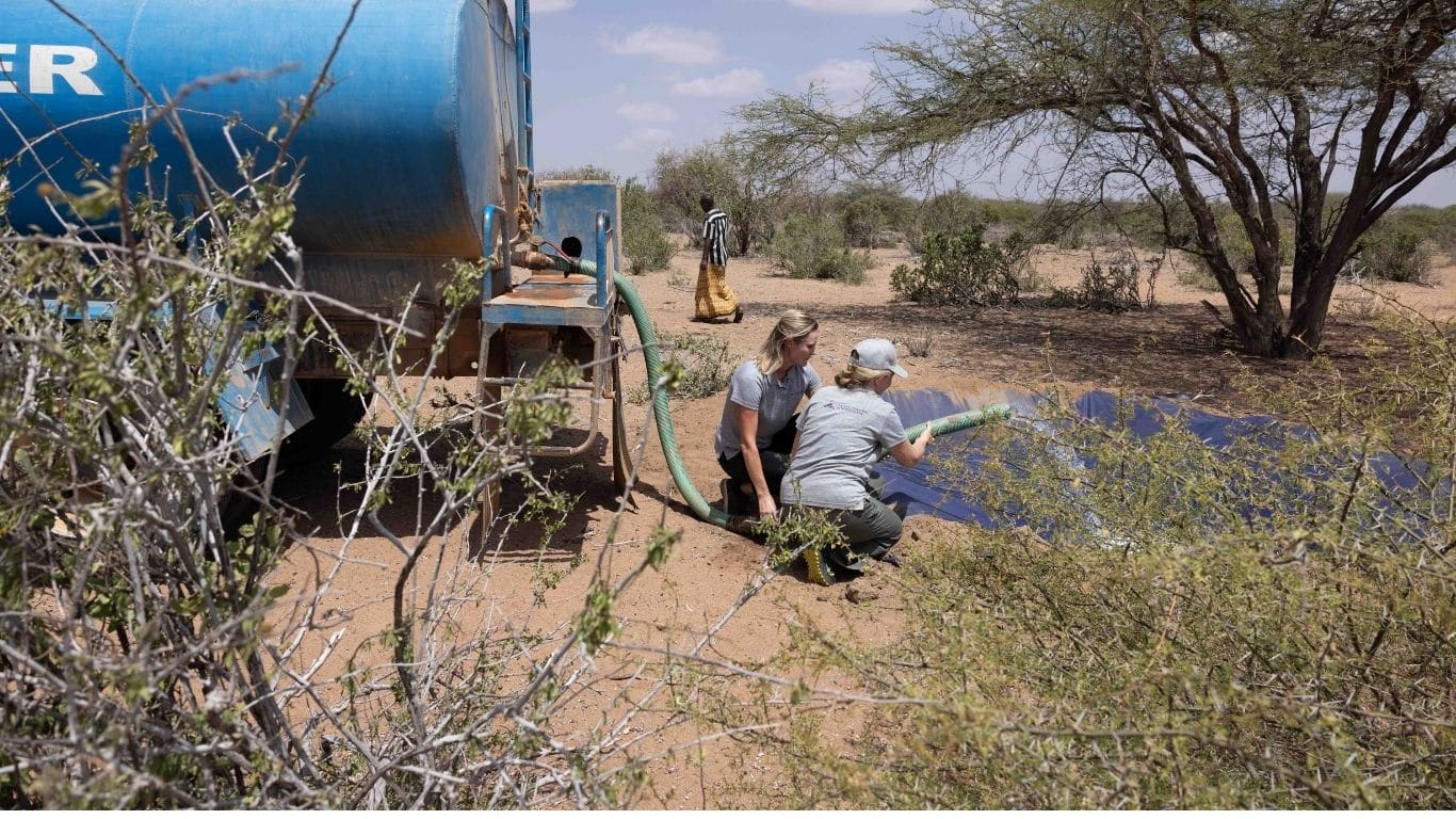 EXTREMELY URGENT! A deadly drought is killing countless wild animals in Africa; one last push and we can provide life-saving water!