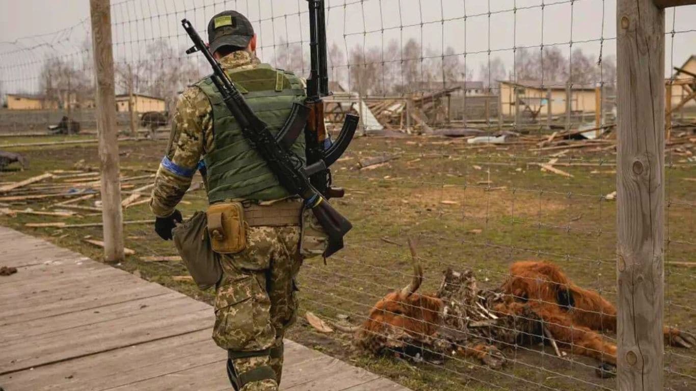 We are horrified by the suffering inflicted on the wild animals of Ukraine 