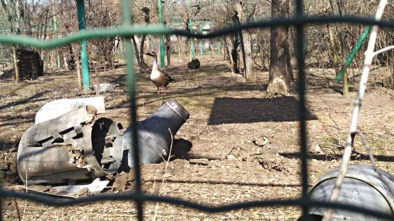 Here's the latest on besieged zoo animals in Ukraine's war!