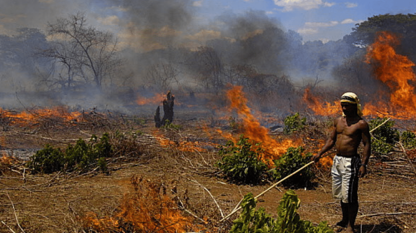 GONE FOREVER? NOT YET! We cannot, must not, WILL NOT let heartless and illegal slash-and-burn loggers drive indri lemurs the way of the dodo.