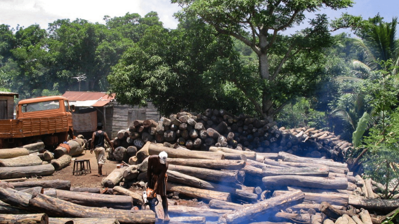 GONE FOREVER? NOT YET! We cannot, must not, WILL NOT let heartless and illegal slash-and-burn loggers drive indri lemurs the way of the dodo.