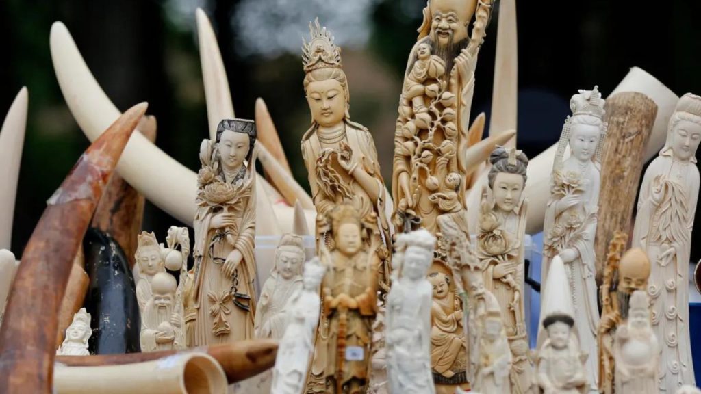 Cruel Trade in Ivory to be Illegal as World-leading Ban Takes Effect