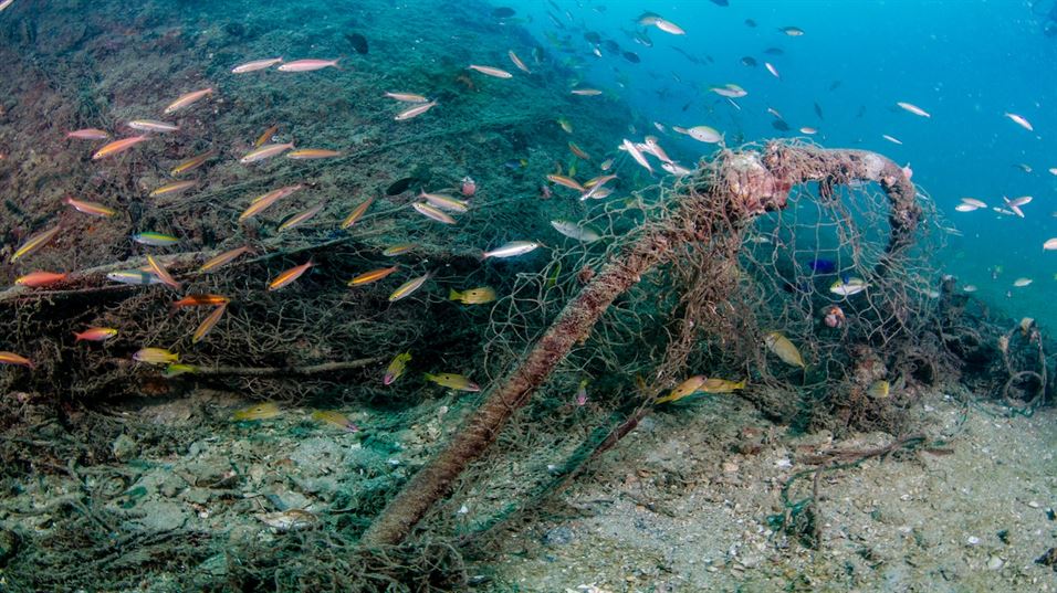 Bottom trawling fishing severely destabilizes the natural state of the ocean’s seabed