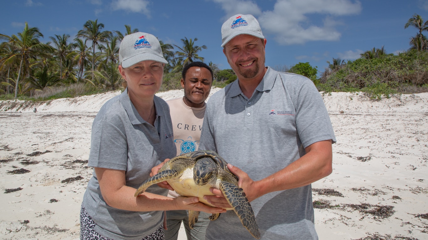 NFA team members release a turtle in Kenya.