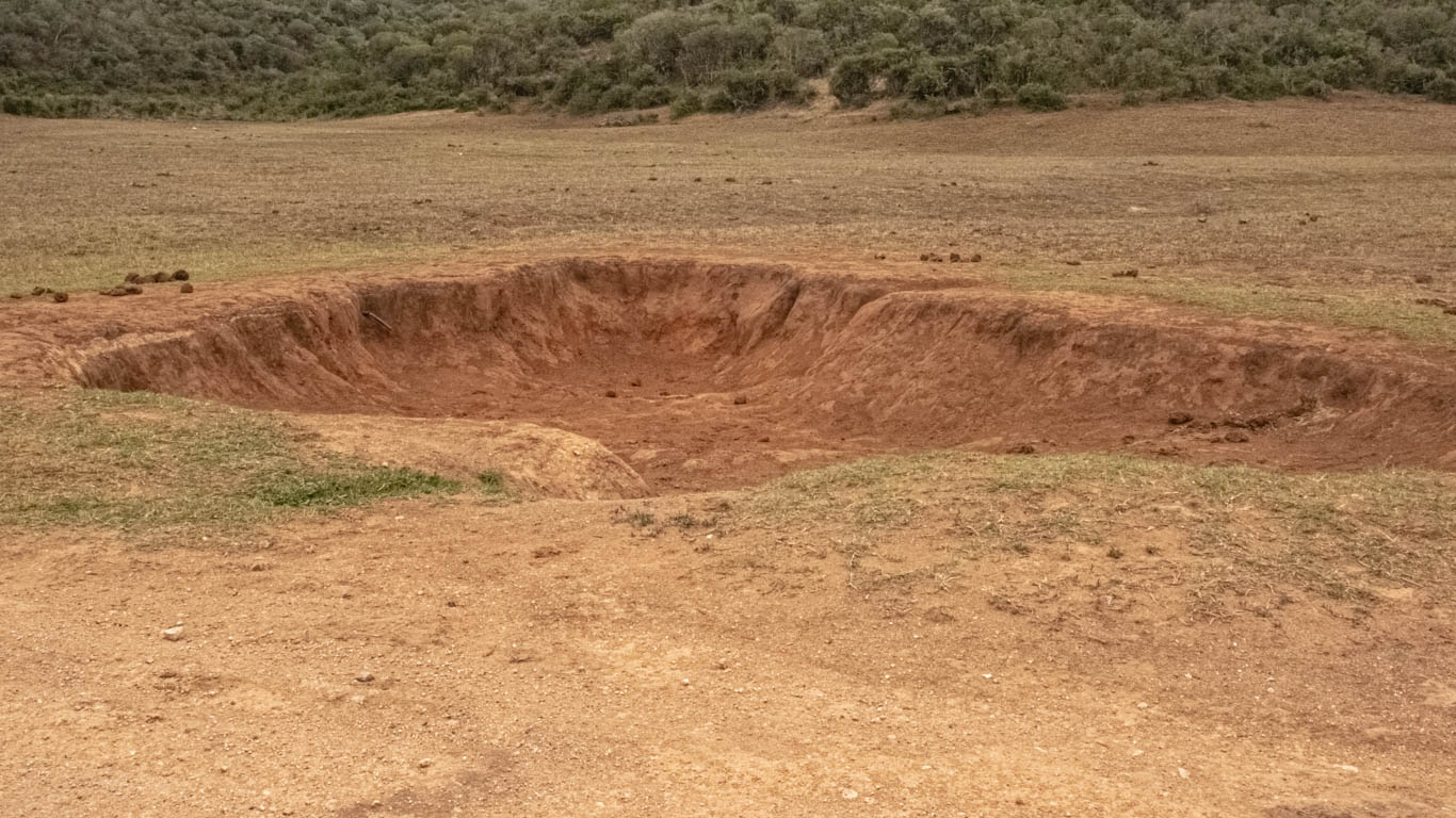 No end in sight to WORST DROUGHT IN A CENTURY in South Africa - majestic elephants and their babies, and countless other animals, are DYING!