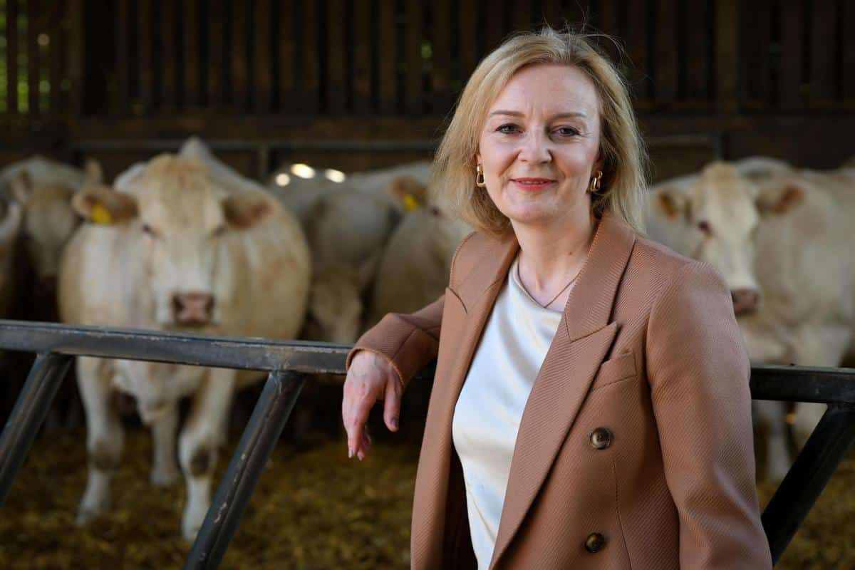 The UK's Leading PM Candidate Refuses to Embrace Animal Welfare – But Her  Opponent Will - Animal Survival International