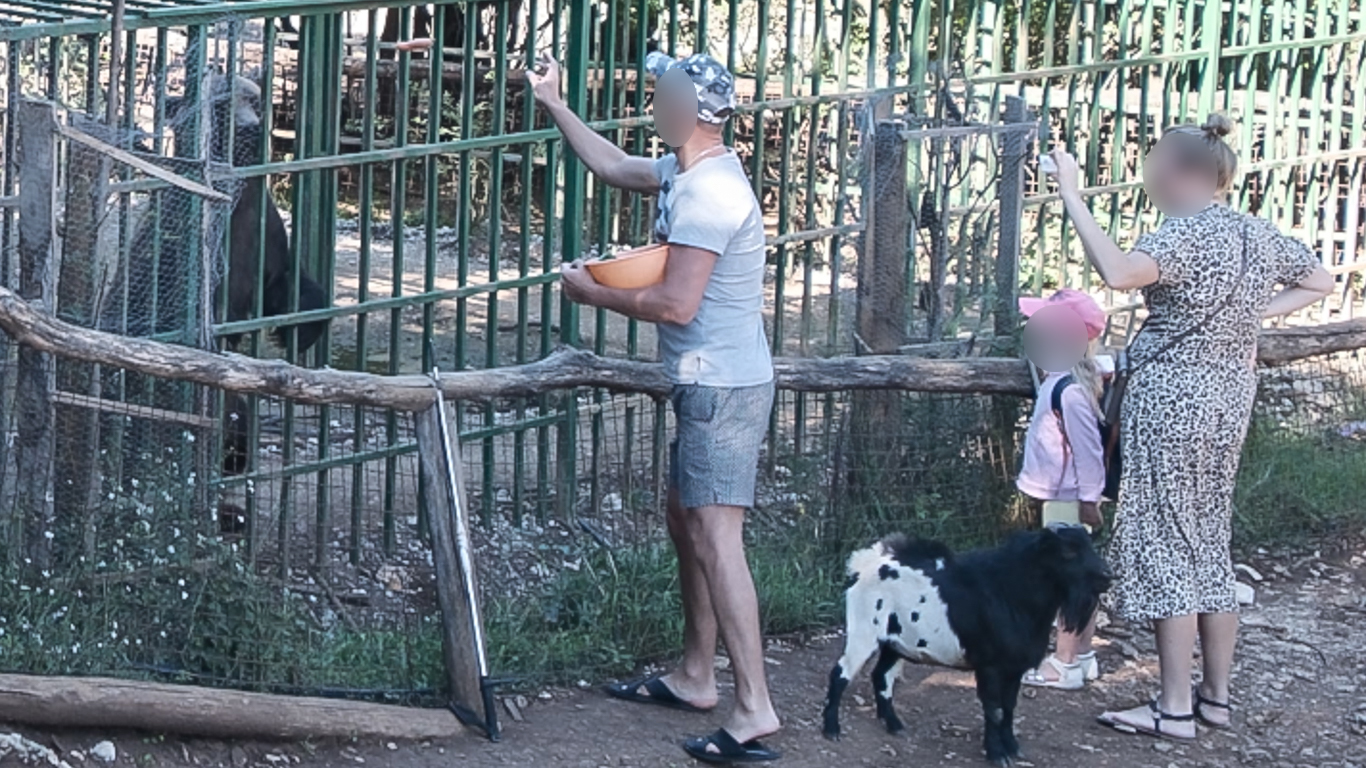 WE HAVE JUST LEARNED that 14 other animals have suddenly died at the private zoo where Ljubo, the bear in despair, is held in a tiny cage!