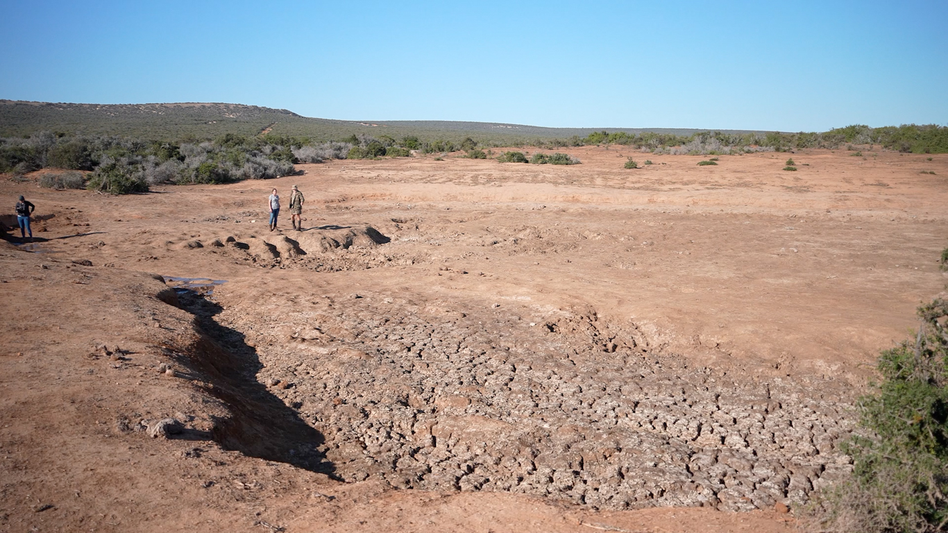 Like QUICKSAND, the muck of the near dried-up waterhole just SUCKED THE YOUNG ELEPHANT IN DEEPER as he struggled to get free…