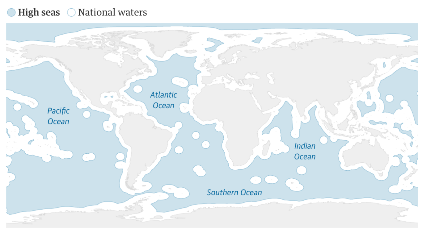 High Seas Treaty: Historic Agreement to Protect International Waters  Reached at UN - Animal Survival International