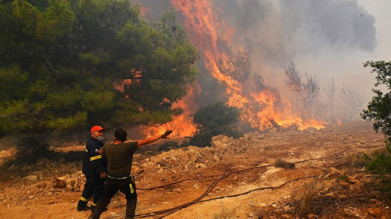 GREECE WILDFIRE EMERGENCY: Please help us rescue wild animals from deadly Greek wildfires.