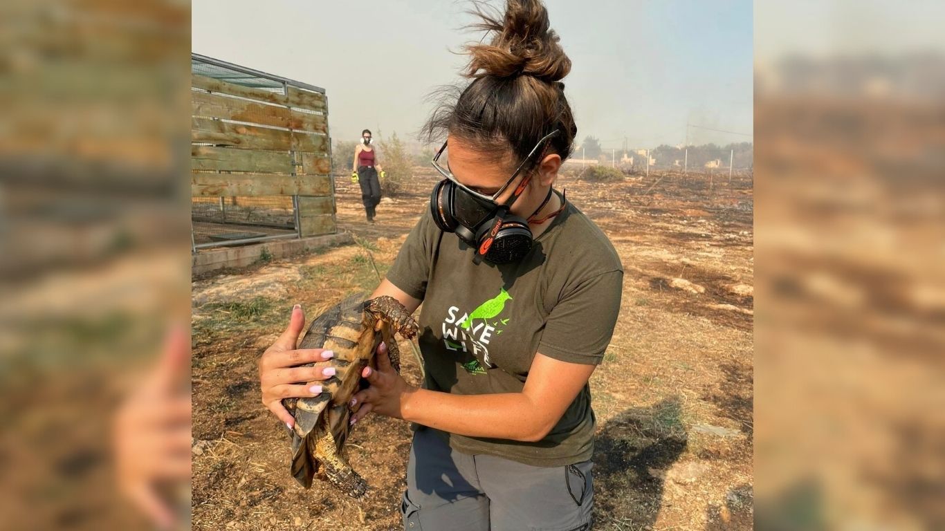 GREECE WILDFIRE EMERGENCY: Please help us rescue wild animals from deadly Greek wildfires.