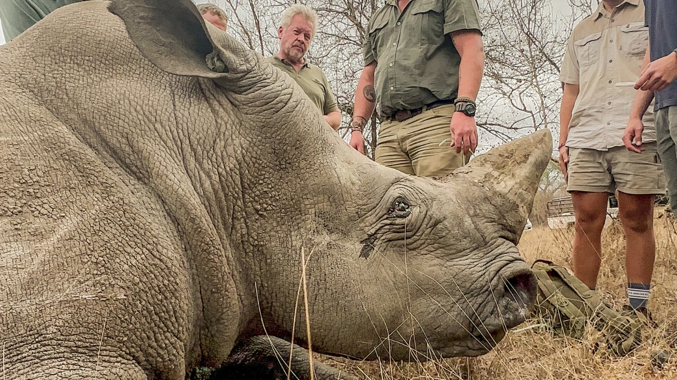 Rhino poaching survivor needs your help!