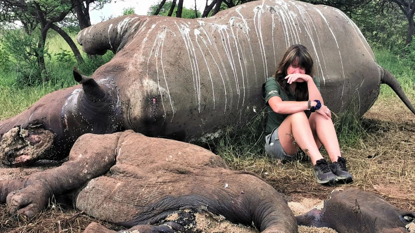 Ranger crying over poached rhinos.