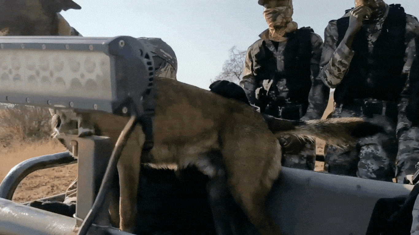 Anti-poaching unit with dog.